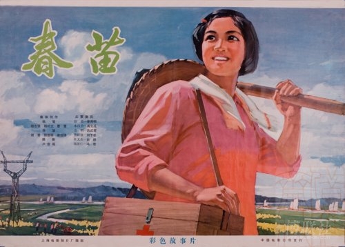 仏教大学 Business diploma